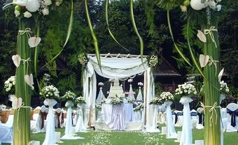Cổng hoa cưới cầu kỳ ngập tràn sắc xanh tươi - Blog Marry