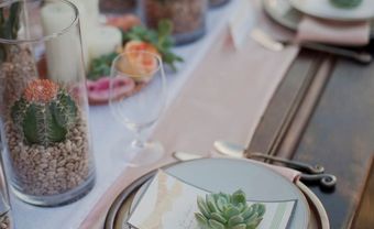 Hoa trang trí tiệc cưới độc đáo với hoa xương rồng  - Blog Marry