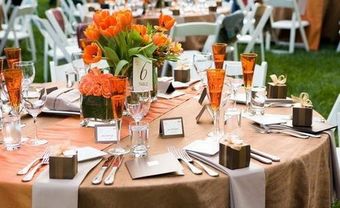 Hoa trang trí tiệc cưới màu cam kết hợp hoa tulip và hoa hồng  - Blog Marry