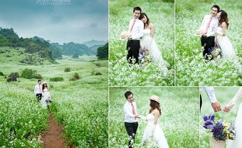 Chụp hình cưới ở vườn hoa cải trắng Mộc Châu - Blog Marry