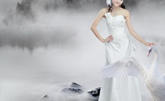 Váy cưới chữ A đuôi dài trên nền lụa bóng - Blog Marry