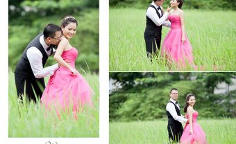 Địa điểm chụp ảnh cưới: cánh đồng cỏ lau, quận 7 - Blog Marry