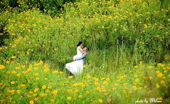 Địa điểm chụp ảnh cưới: Đồi hoa dã quỳ, Đà Lạt - Blog Marry