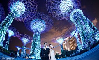 Địa điểm chụp ảnh cưới: Singapore hiện đại - Blog Marry