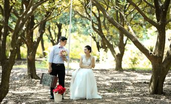 Địa điểm chụp ảnh cưới: Vườn nhãn Gia Lâm, Hà Nội - Blog Marry