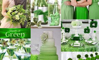 Theme cưới màu xanh lá cây ombre mát mắt - Blog Marry