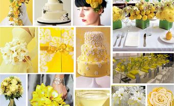 Theme cưới trắng vàng rực rỡ và ngọt ngào - Blog Marry