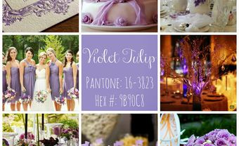 Theme tiệc cưới 2015: Màu tím Violet Tulip - Blog Marry