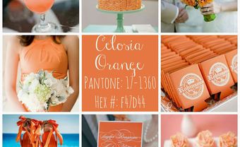Theme tiệc cưới mùa xuân: Màu cam Celosia Orange - Blog Marry