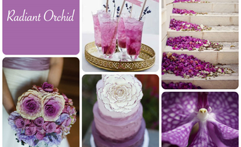 Theme tiệc cưới mùa xuân màu tím Radiant Orchid - Blog Marry