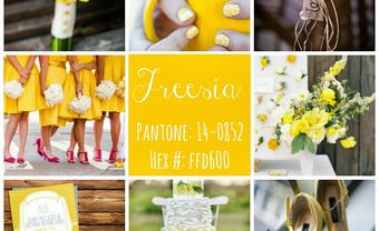 Theme tiệc cưới mùa xuân: Màu vàng Freesia - Blog Marry