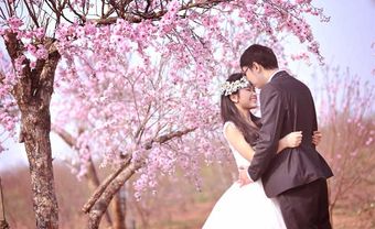 Địa điểm chụp ảnh cưới: vườn hoa Phương Linh - Hà Nội - Blog Marry