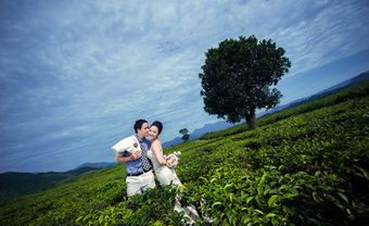 Địa điểm chụp ảnh cưới: Đồi chè Đông Giang, Đà Nẵng - Blog Marry