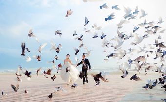 Địa điểm chụp ảnh cưới: Công viên Biển Đông, Đà Nẵng - Blog Marry