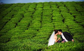 Kinh nghiệm chụp ảnh cưới: Có nên tự chụp ảnh cưới? - Blog Marry