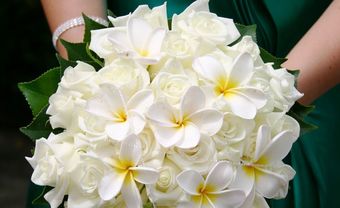 Hoa cưới cầm tay kết từ hoa sứ trắng - Blog Marry