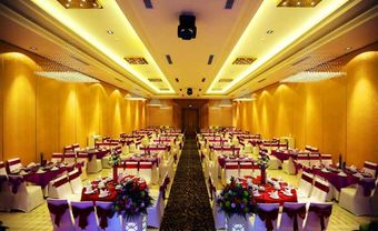 Melisa Center – giúp bạn viết câu chuyện cổ tích của riêng mình - Blog Marry