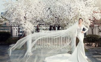 Váy cưới đẹp dáng đuôi cá tay dài phối ren - Blog Marry