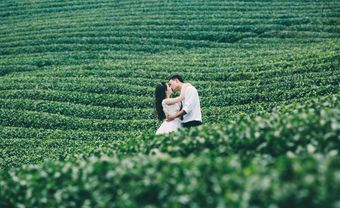 Địa điểm chụp ảnh cưới: Đồi chè Đà Lạt, Lâm Đồng - Blog Marry