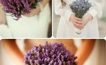Hoa cưới cầm tay cô dâu màu tím đơn sắc - Blog Marry