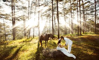 Địa điểm chụp ảnh cưới: Rừng thông Đà Lạt, Lâm Đồng - Blog Marry