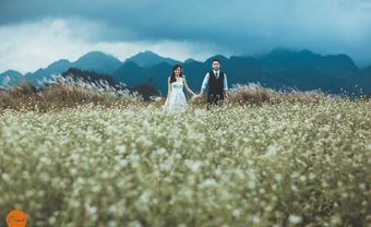 Địa điểm chụp ảnh cưới: Cánh đồng hoa Mộc Châu, Sơn La - Blog Marry