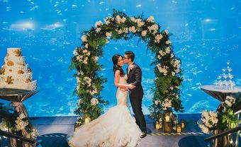Huyền ảo tiệc cưới "dưới" lòng đại dương - Blog Marry