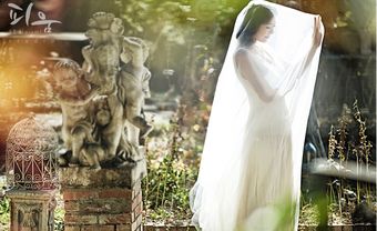 Mê mẩn với phong cách chụp ảnh cưới ngược sáng huyền ảo - Blog Marry