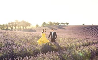 Chụp ảnh cưới đẹp ngất ngây tại cánh đồng hoa Lavender, Pháp - Blog Marry