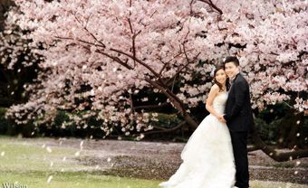 Địa điểm chụp ảnh cưới đẹp tại các vùng trồng hoa nổi tiếng Nhật Bản - Blog Marry