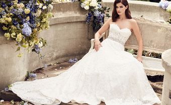 BST váy cưới đẹp cuốn hút của thương hiệu Paloma Blanca - Blog Marry