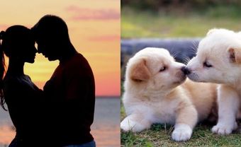 Bạn có chắc mình đã biết hết những kiểu hôn này? - Blog Marry