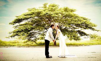 Đi đâu để chụp hình cưới cho những tháng cuối năm? - Blog Marry