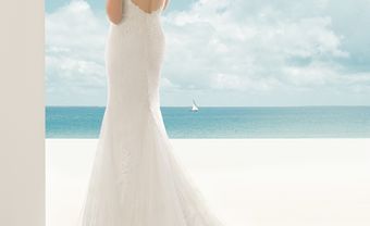 Ngắm bô sưu tập áo cưới ROSA CLARA - Blog Marry