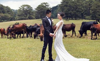Đà Lạt - Mãi mãi là thiên đường chụp ảnh cưới ngoại cảnh - Blog Marry