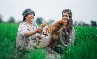 Bộ ảnh: Tình yêu đẹp giản dị của đôi vợ chồng nông dân trên đồng nước nổi - Blog Marry