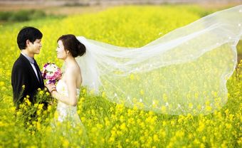 Chụp ảnh cưới với hoa cải vàng của các cặp đôi ở Hà Nội mùa cưới 2018 - Blog Marry