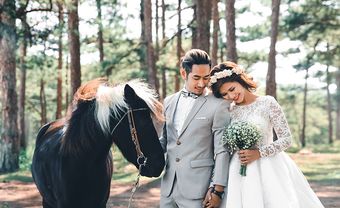 7 địa điểm chụp hình cưới ở Đà Lạt đẹp say lòng người - Blog Marry