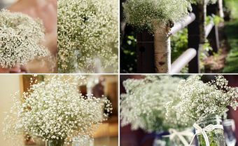 Hóa đám cưới thành vườn địa đàng với hoa baby - Blog Marry