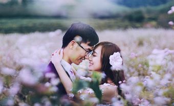 Ngọt ngào bộ ảnh cưới giữa đồng tam giác mạch rực rỡ - Blog Marry