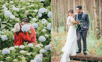 Bộ ảnh cưới chụp tại Đà Lạt "triệu người ưng" của cặp đôi Việt - Blog Marry