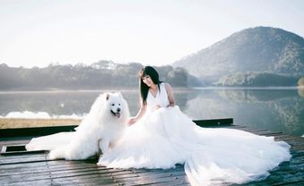 Ca sĩ Phương Thanh bất ngờ chia sẻ ảnh cưới tại Đà Lạt - Blog Marry