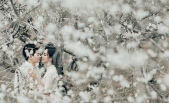 Bộ ảnh cưới "Mơ" ngọt ngào giữa mùa Đông Mộc Châu - Blog Marry