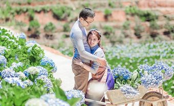 4 điểm chụp ảnh giữa vườn cẩm tú cầu siêu đẹp ở Đà Lạt - Blog Marry
