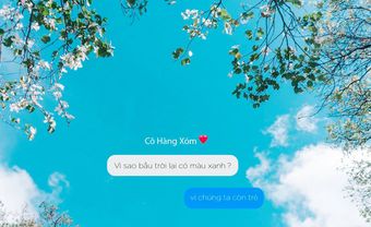 Check-in những con đường hoa ban trắng nổi tiếng Đà Lạt - Blog Marry