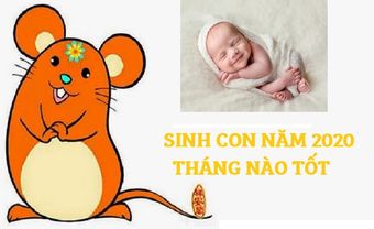 Sinh con năm 2020 tháng nào tốt để gia đình càng thêm gắn kết? - Blog Marry