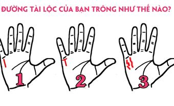 Nhìn ra ngay mệnh tài lộc trong tương lai qua đường tài vận: Đường tài vận thẳng cuộc sống ổn định và giàu sang - Blog Marry