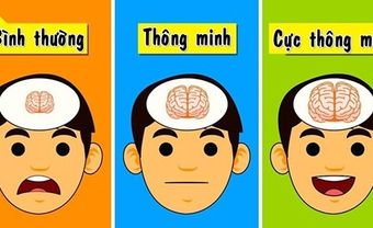 Đặc điểm của người thông minh bẩm sinh: thích làm việc đêm khuya, giỏi kiềm chế - Blog Marry