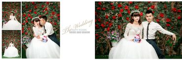 Mùa Yêu Thương 2015 - Royal Wedding Studio - Hình 3