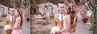 PHIM TRƯỜNG - Kim's house wedding - Hình 4